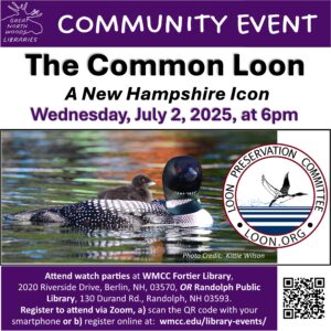 Common Loon Poster